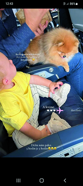 Skandál Hejdové kvůli psovi na sedadle letadla.