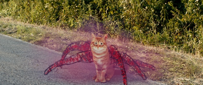 Monstra ze skicáku - fantazie může být nebezpečně skutečná!